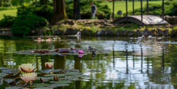 PARCO GIARDINO SIGURTA'  - Valeggio sul Mincio (VR)